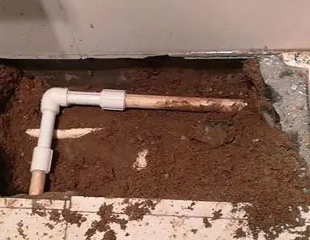 宜都测漏水哪家好