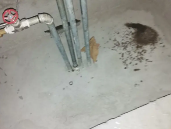 宜都卫生间测漏水价格明细