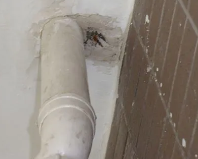 宜都漏水检测哪家好